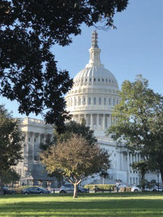 washington-dc catering